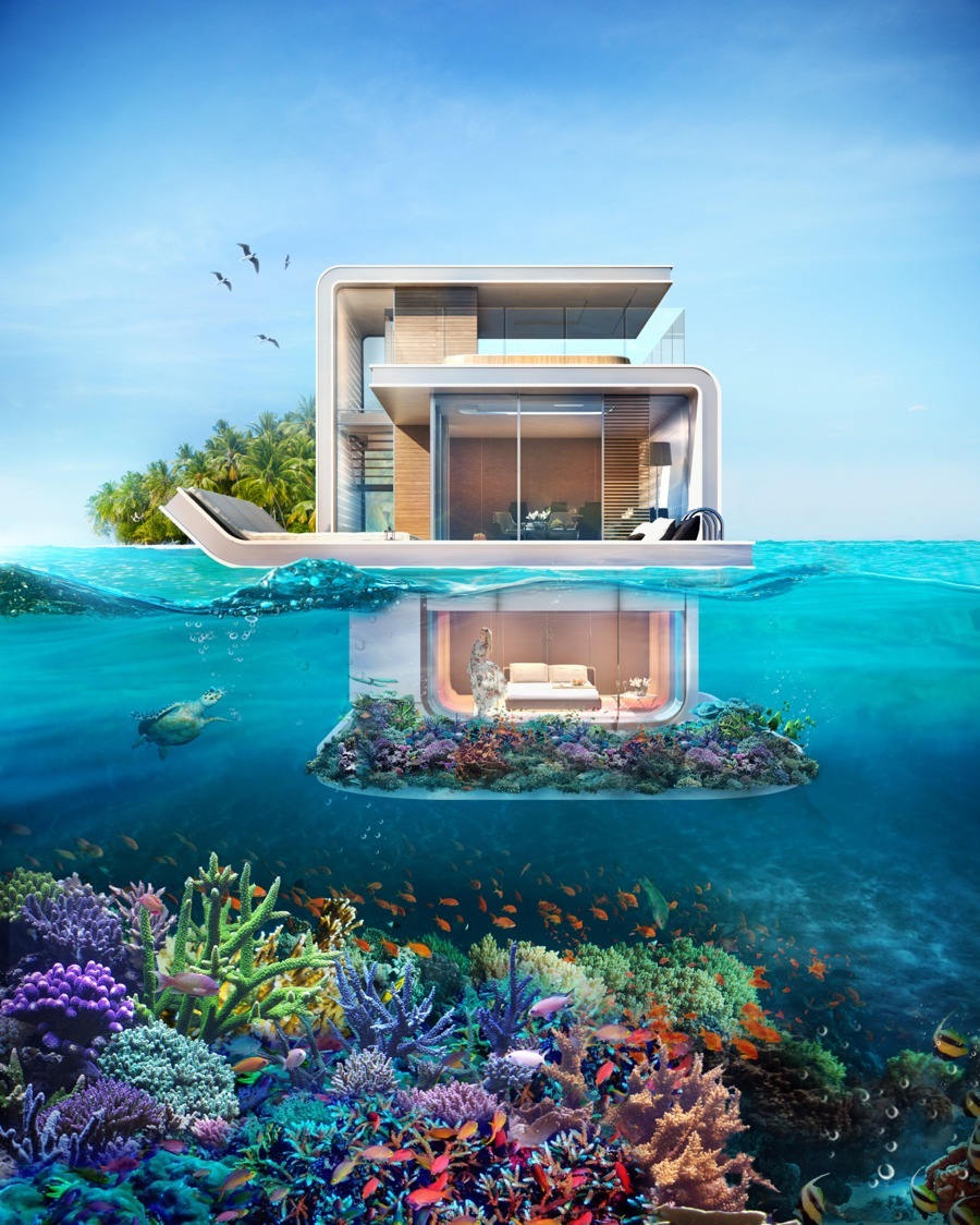 imagen 1 de The Floating Seahorse, una casa sobre el agua.