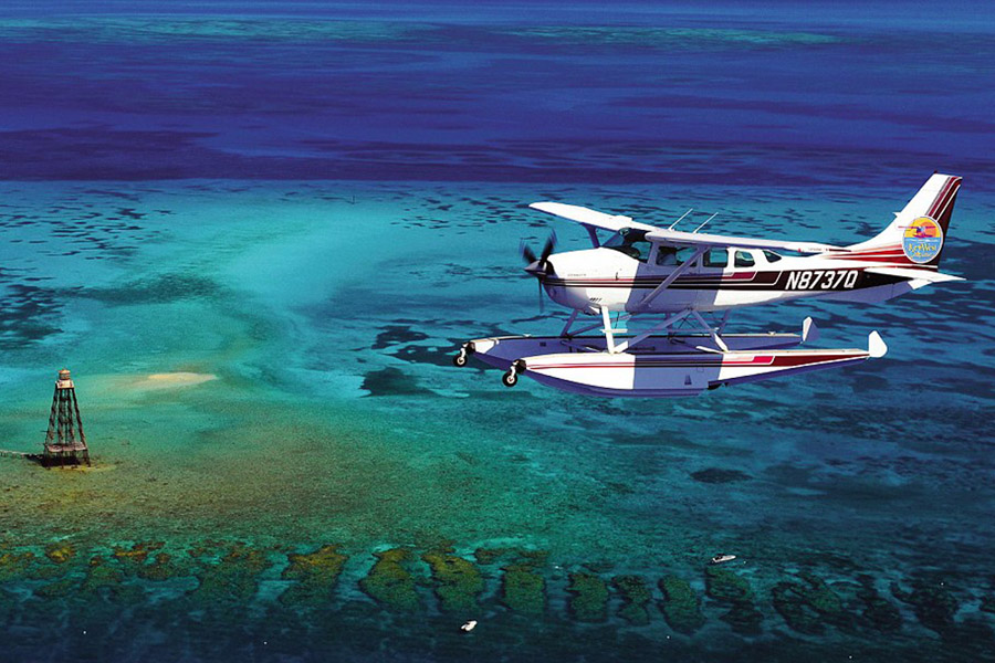 imagen 4 de 250 cocoteros, la playa y el Caribe, solo para un huésped.