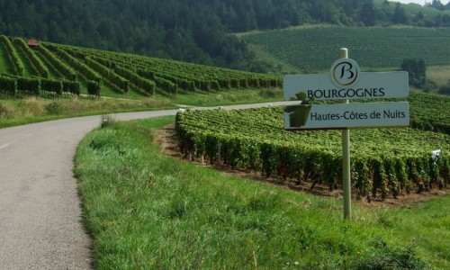 Champaña y Borgoña Patrimonio Mundial de la Unesco.
