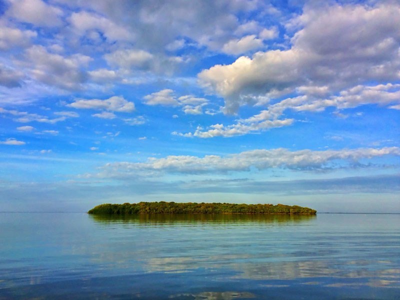 imagen 2 de Sale al mercado una isla paradisíaca en los Cayos de Florida.