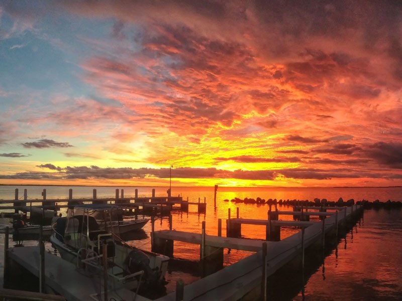 imagen 6 de Sale al mercado una isla paradisíaca en los Cayos de Florida.