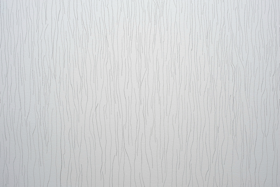 imagen 10 de Sol LeWitt. 17 Wall Drawings. 1970-2015.