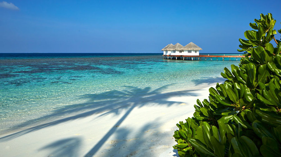 imagen 15 de Loama, hogar de hedonistas en un atolón de Maldivas.