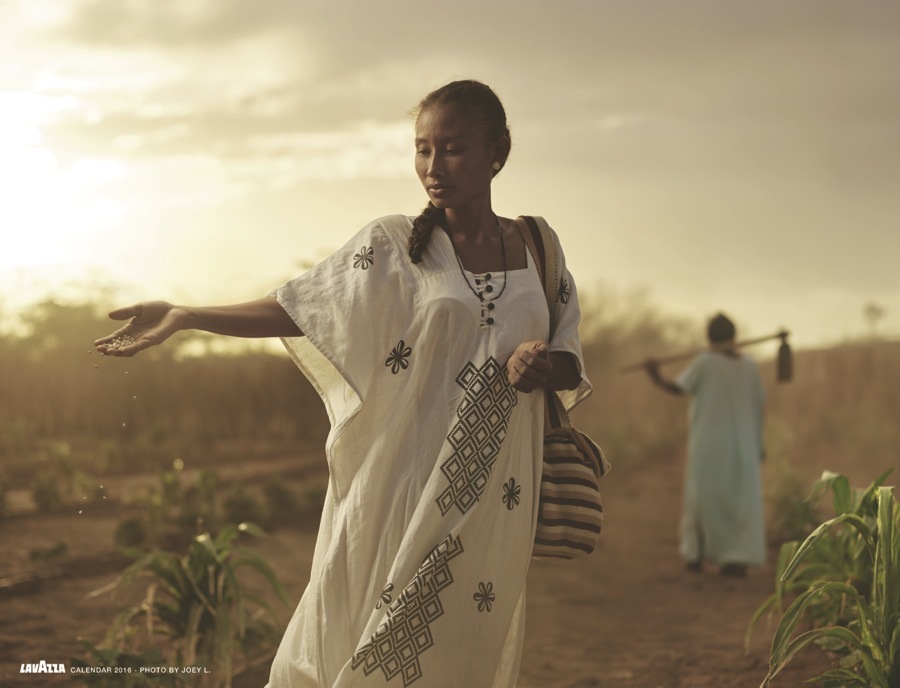 imagen 4 de Calendario Lavazza 2016: tierra y tradición.