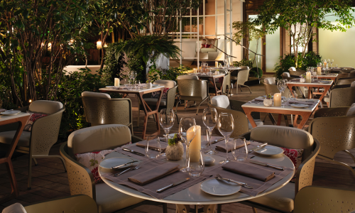 Camélia, el Thierry Marx más casual en Mandarin Oriental, París.