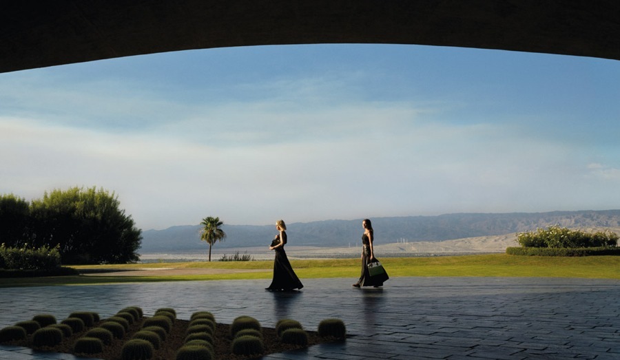 imagen 12 de Louis Vuitton, el mejor amigo de Michelle Williams y Alicia Vikander.
