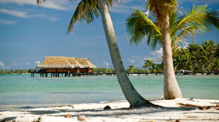 imagen 1 de Vahine, una isla paradisíaca a un paso de Bora Bora.