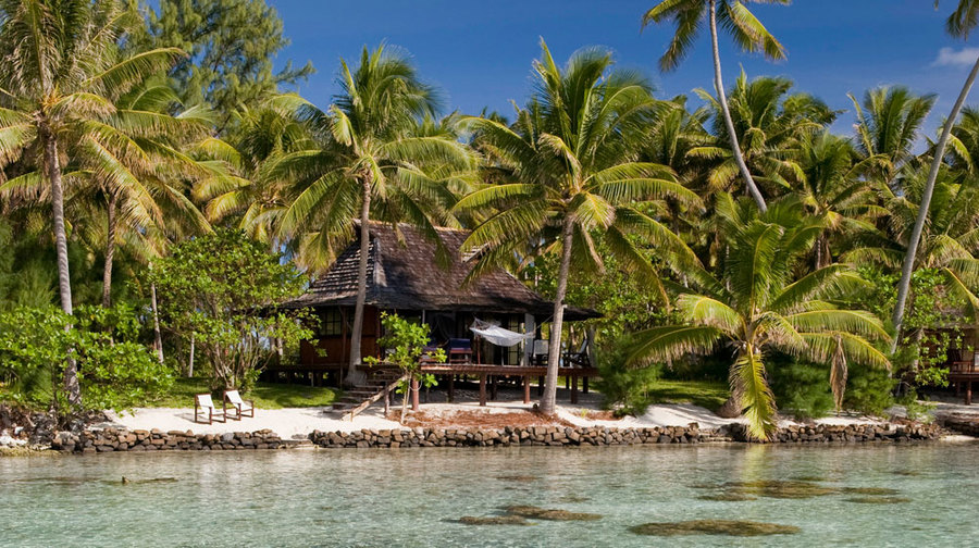 imagen 3 de Vahine, una isla paradisíaca a un paso de Bora Bora.