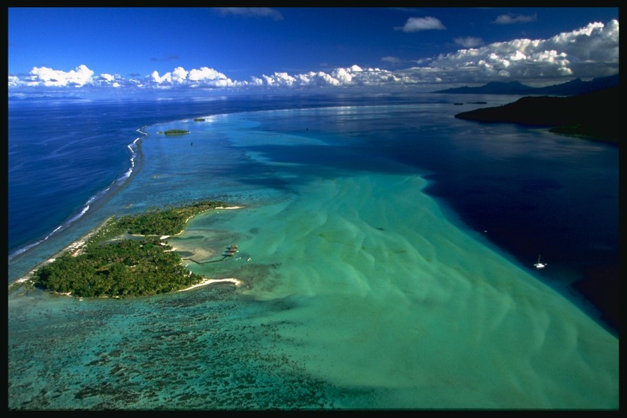 imagen 4 de Vahine, una isla paradisíaca a un paso de Bora Bora.