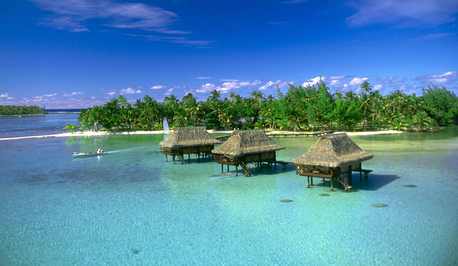 imagen 6 de Vahine, una isla paradisíaca a un paso de Bora Bora.