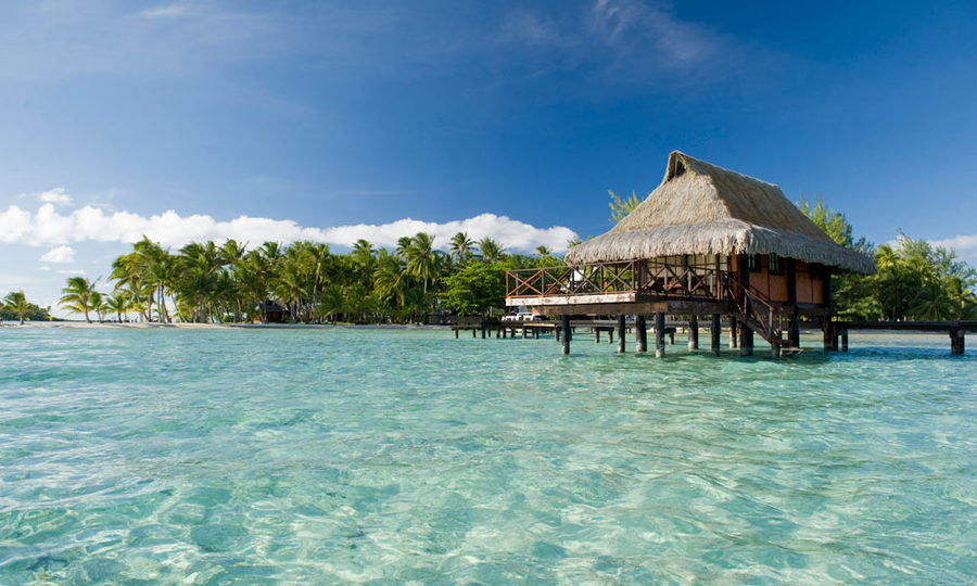 imagen 7 de Vahine, una isla paradisíaca a un paso de Bora Bora.