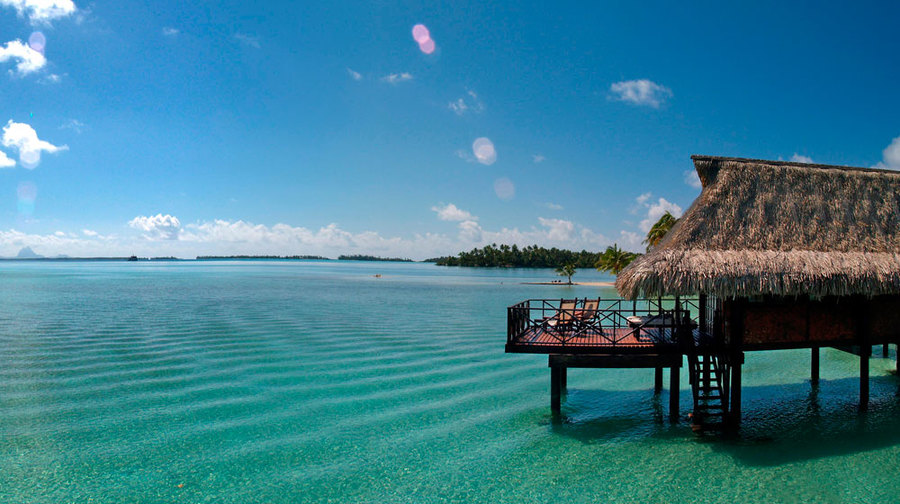 imagen 8 de Vahine, una isla paradisíaca a un paso de Bora Bora.