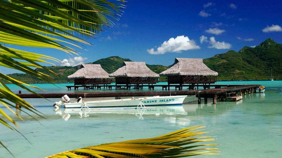 imagen 10 de Vahine, una isla paradisíaca a un paso de Bora Bora.