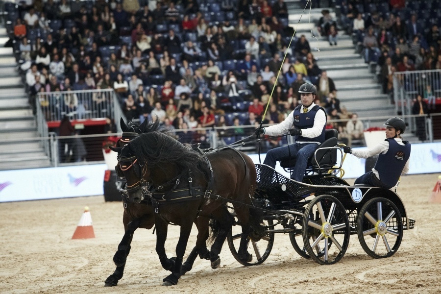 imagen 5 de Madrid Horse Week.