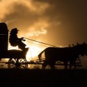 Deuda de honor (The Homesman). Tommy Lee Jones dirige un western con sabor femenino