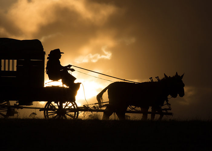 imagen 3 de Deuda de honor (The Homesman). Tommy Lee Jones dirige un western con sabor femenino