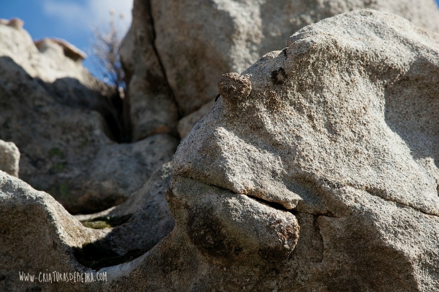 imagen 2 de Criaturas de piedra.
