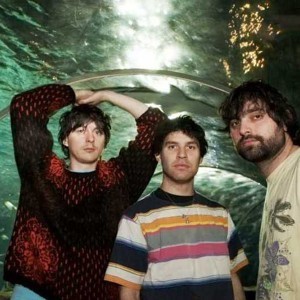 FloriDaDa. Animal Collective.