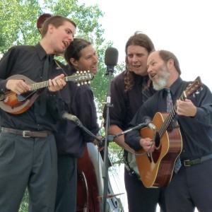 Spoiler Alert. Henhouse Prowlers.