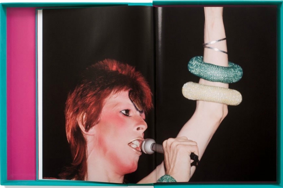 imagen 5 de The Rise and Fall of Ziggy Stardust.