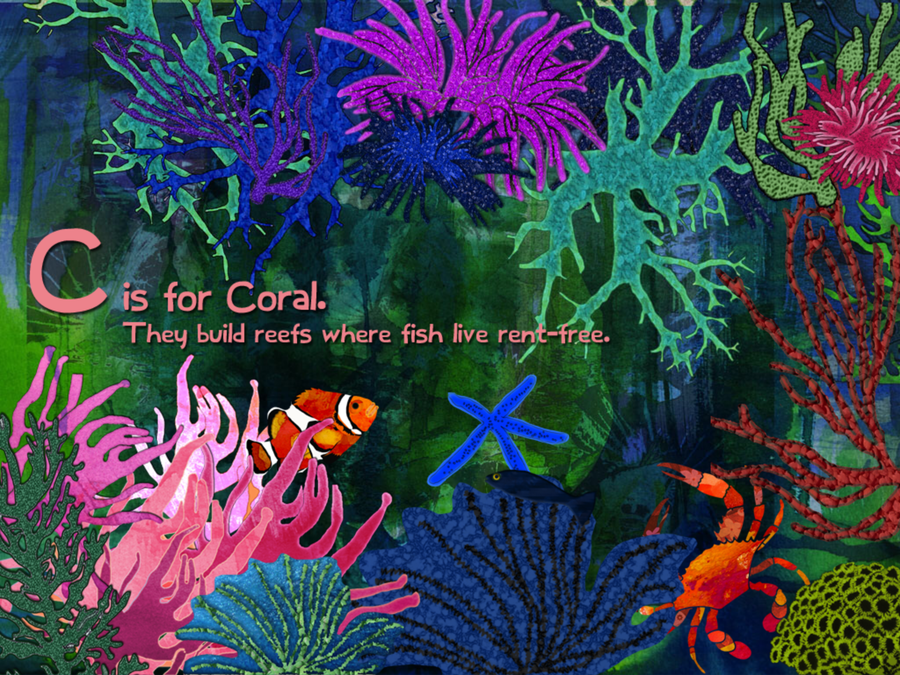 imagen 1 de Un álbum ilustrado para aprender los animales marinos.
