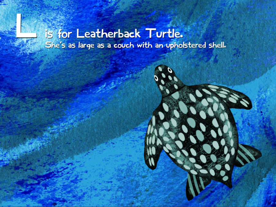 imagen 5 de Un álbum ilustrado para aprender los animales marinos.