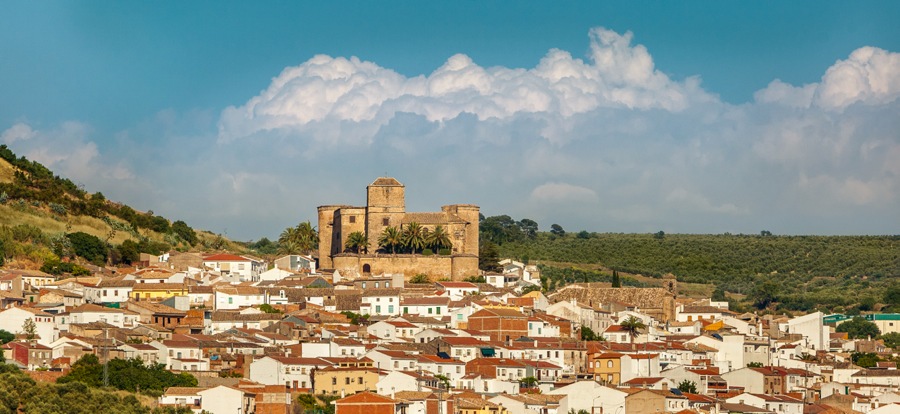 imagen 6 de Castillo de Canena presenta Arbequina and Co.