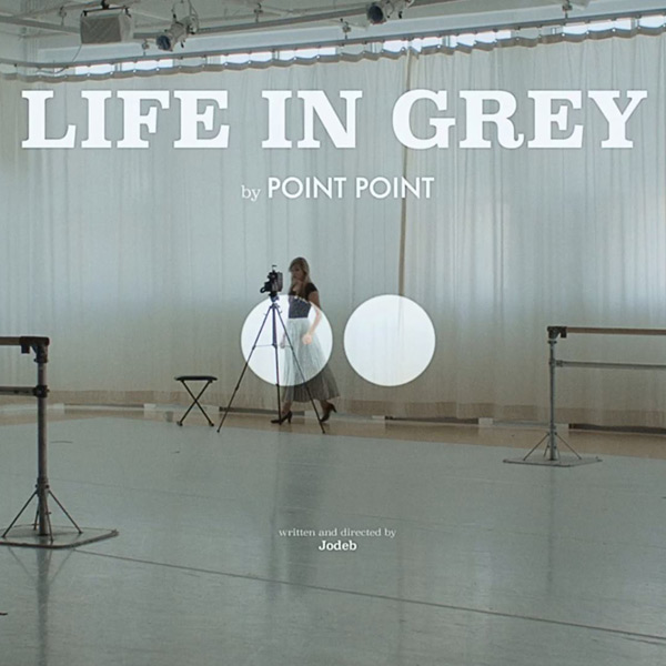 imagen 3 de Life In Grey. Point Point.