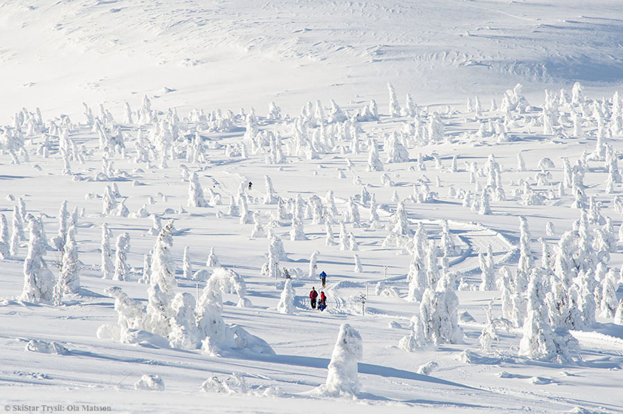 imagen 16 de Chapuzón termal en plena nevada, el lujo de Trysil.