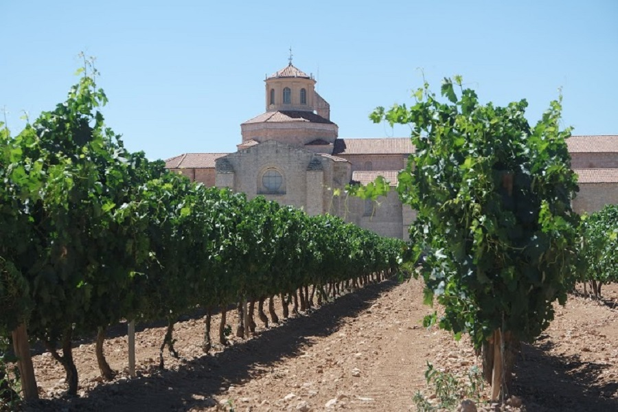 imagen 9 de Entre copas: Monasterio de Valbuena y los vinos de Matarromera.