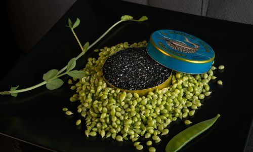 6 restaurantes para degustar el guisante lágrima de costa, el «caviar verde».