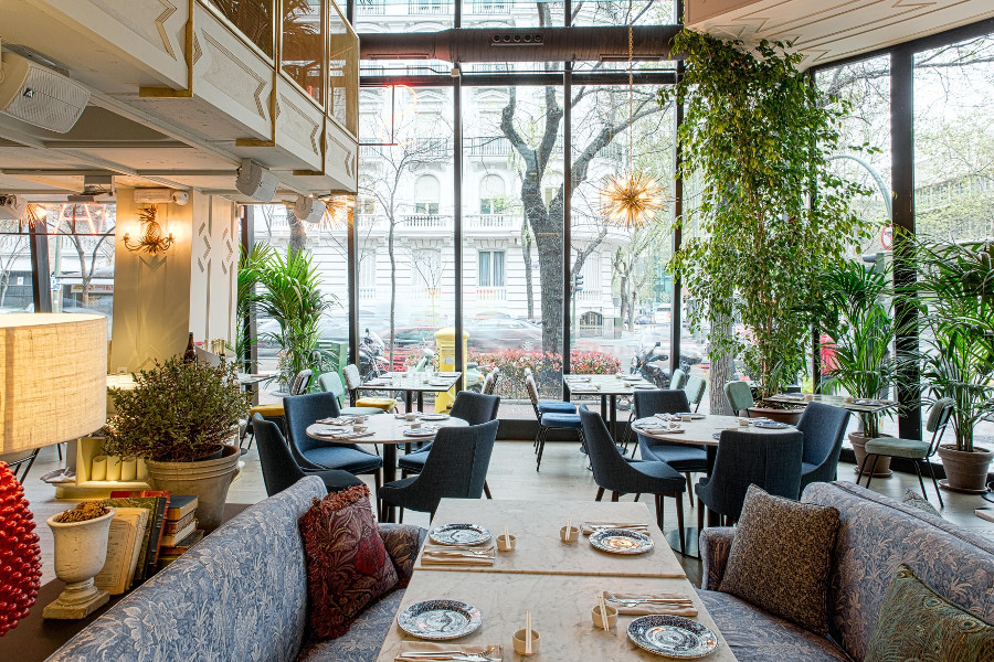imagen 3 de El nuevo Sushita Café de Madrid, un tercero como el primero.