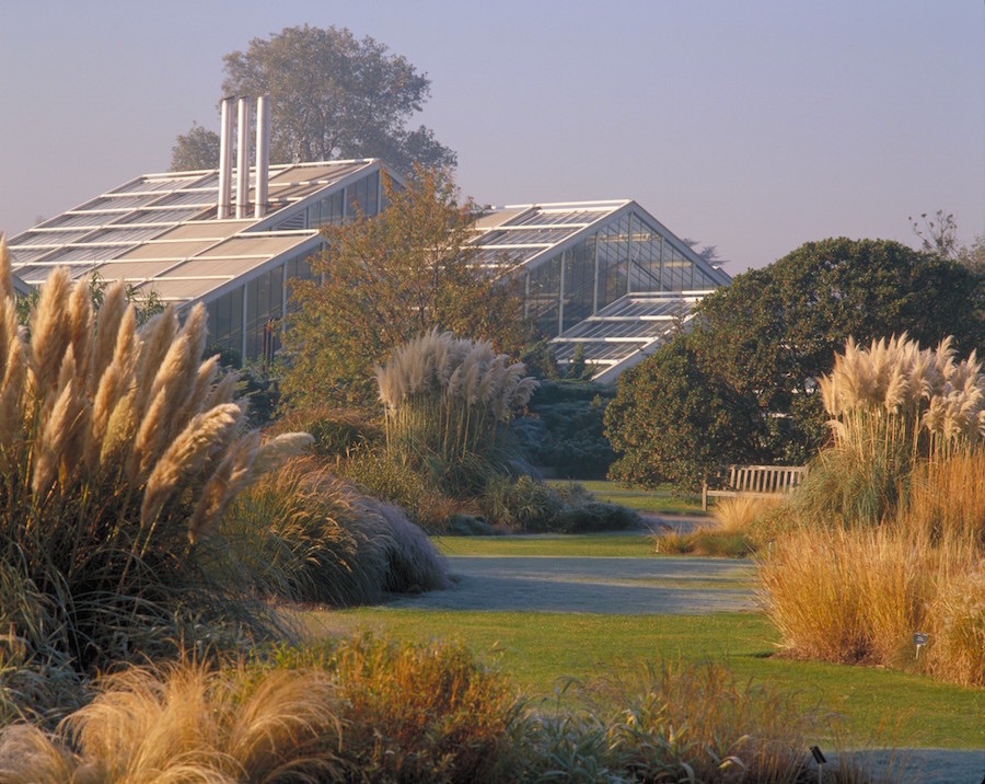 imagen 2 de Kew, el real jardín inglés que esconde mucha envidia.