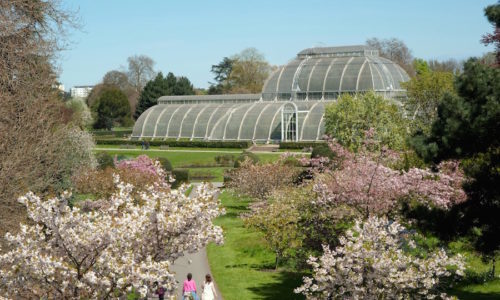 Kew, el real jardín inglés que esconde mucha envidia.