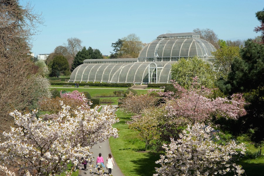 imagen 6 de Kew, el real jardín inglés que esconde mucha envidia.