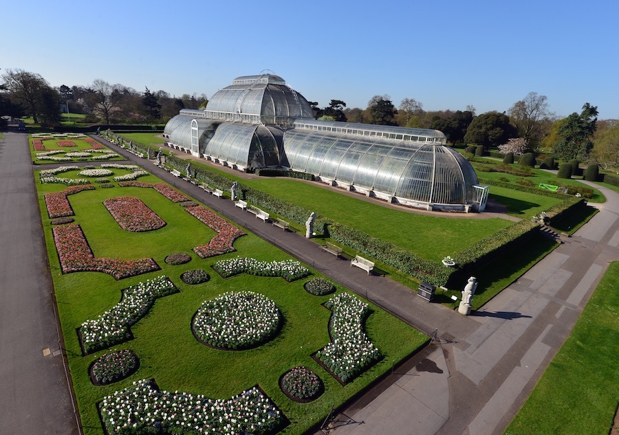 imagen 9 de Kew, el real jardín inglés que esconde mucha envidia.