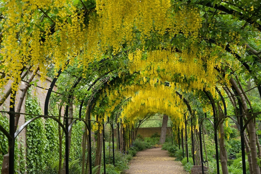 imagen 13 de Kew, el real jardín inglés que esconde mucha envidia.