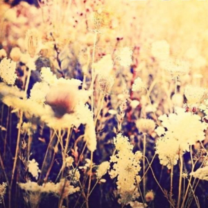 Australia no para de dar buenos nombres a la música. Ahora Fallon Cush.