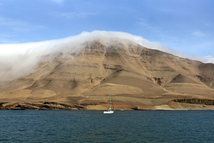 imagen 3 de Islas del Callao, el viaje en barco más excitante de Perú.