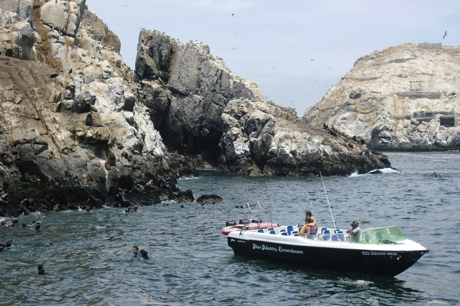 imagen 8 de Islas del Callao, el viaje en barco más excitante de Perú.