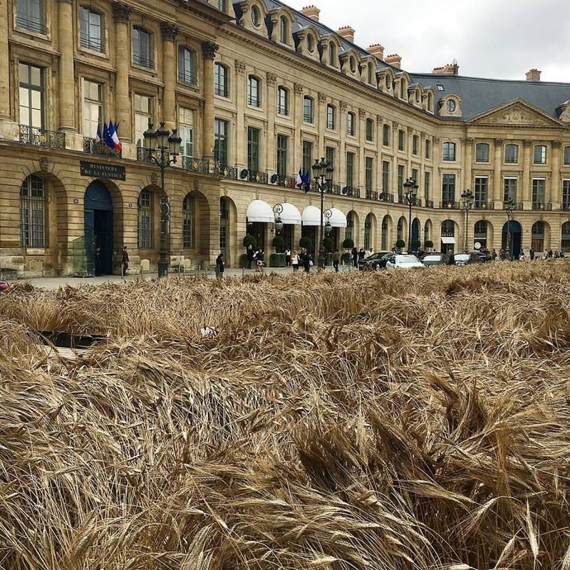 imagen 6 de Le blés de Chanel o un amanecer en Place Vendome.