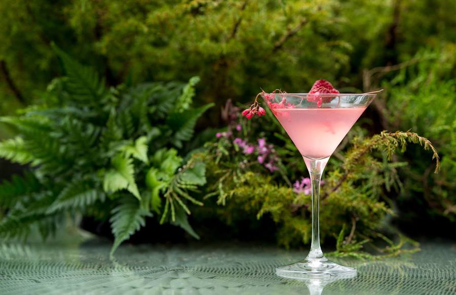 imagen 4 de The Goring Gin Garden.