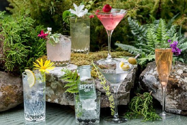 imagen 1 de The Goring Gin Garden.