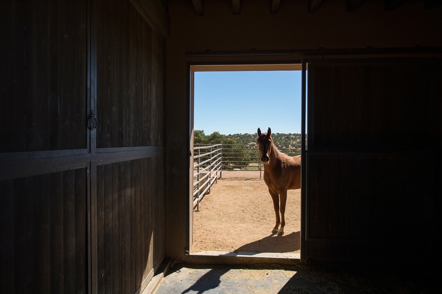 imagen 29 de Tom Ford vende su rancho en Santa Fe.