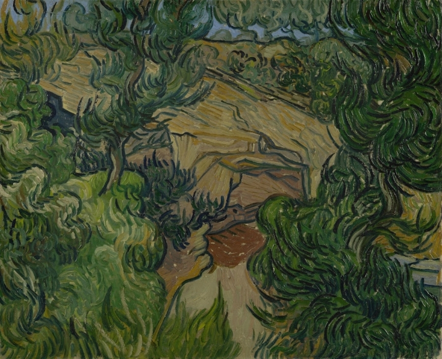 imagen 3 de Van Gogh, la oreja y otros enigmas.