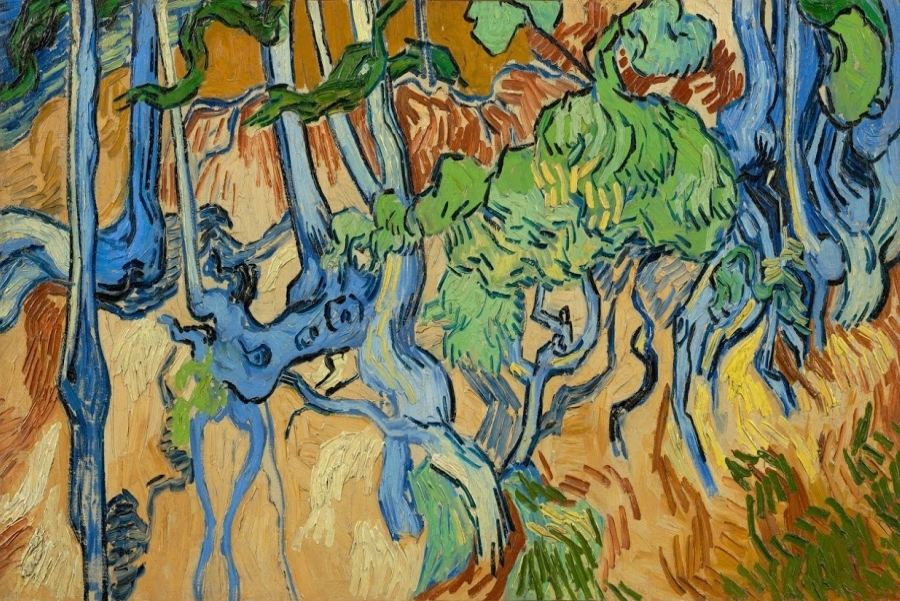 imagen 8 de Van Gogh, la oreja y otros enigmas.
