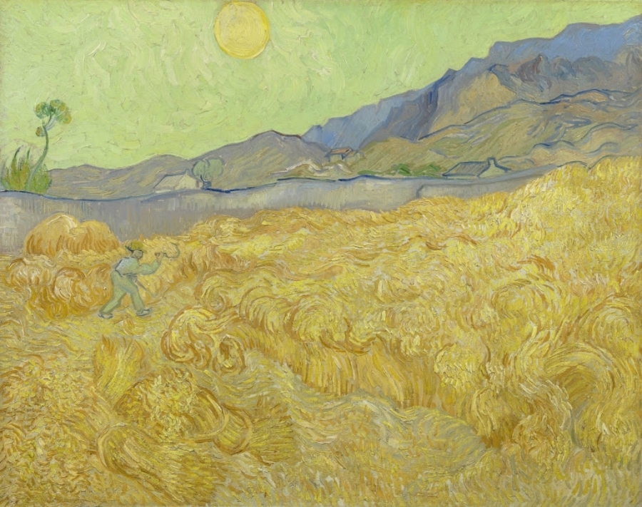 imagen 9 de Van Gogh, la oreja y otros enigmas.