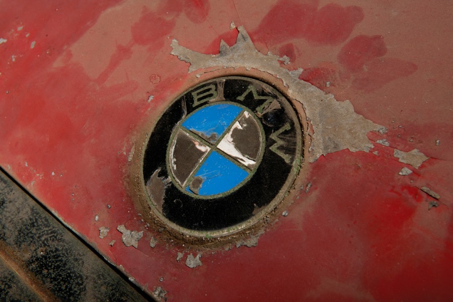 imagen 8 de Puesta de largo del BMW 507 de Elvis en California.