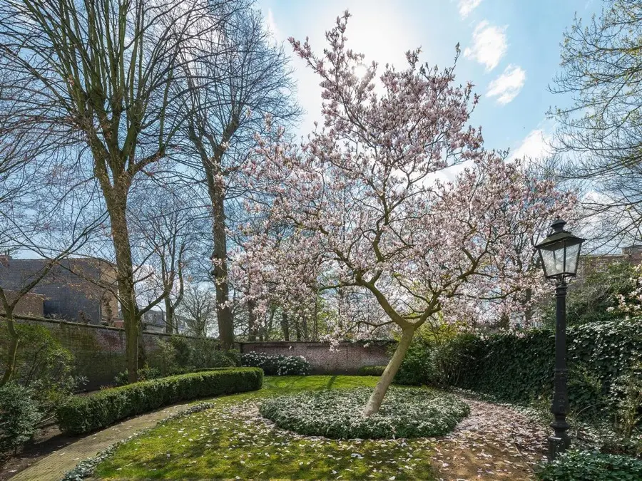 imagen 15 de 1.650.000 euros y una moderna vivienda en la vieja Europa.