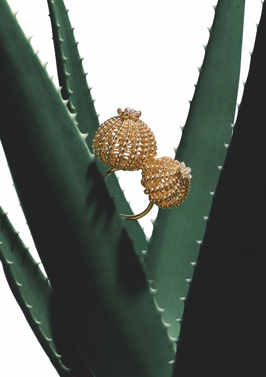 imagen 10 de Cactus de Cartier, joyas de inspiración natural.